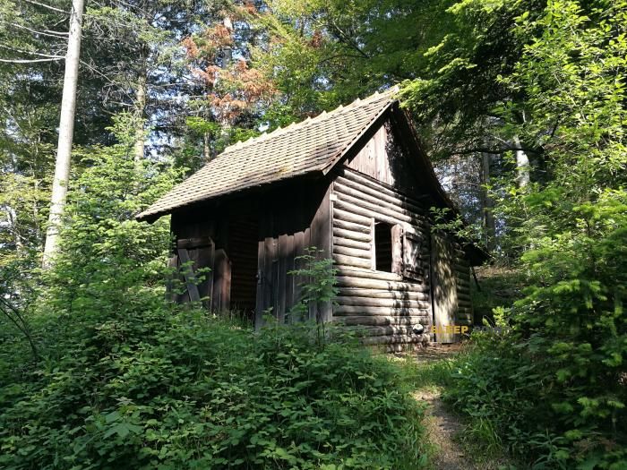 Refuge de montagne Rüttekopf-Hütte dans rüttekopfhütte, altensteinweg, müllheim, müllheim im markgräflerland, gvv müllheim-badenweiler, landkreis breisgau-hochschwarzwald, baden-wurtemberg, 79410, alemania
